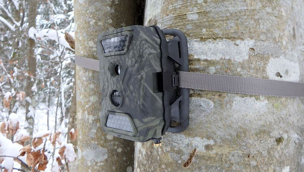 Angle de vision des camera de chasse